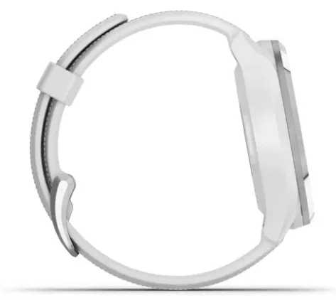 Garmin Approach® S42