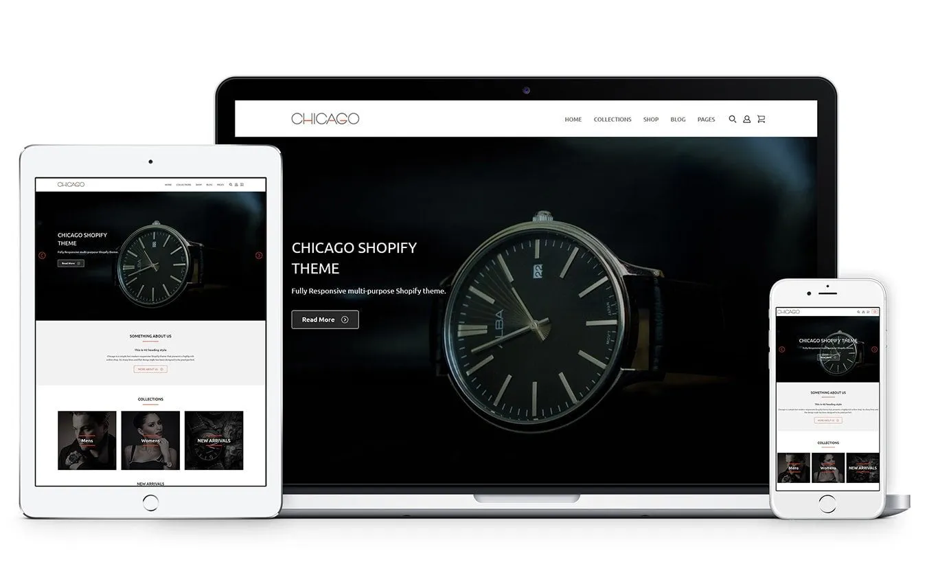 Health Store Chicago Shopify Theme