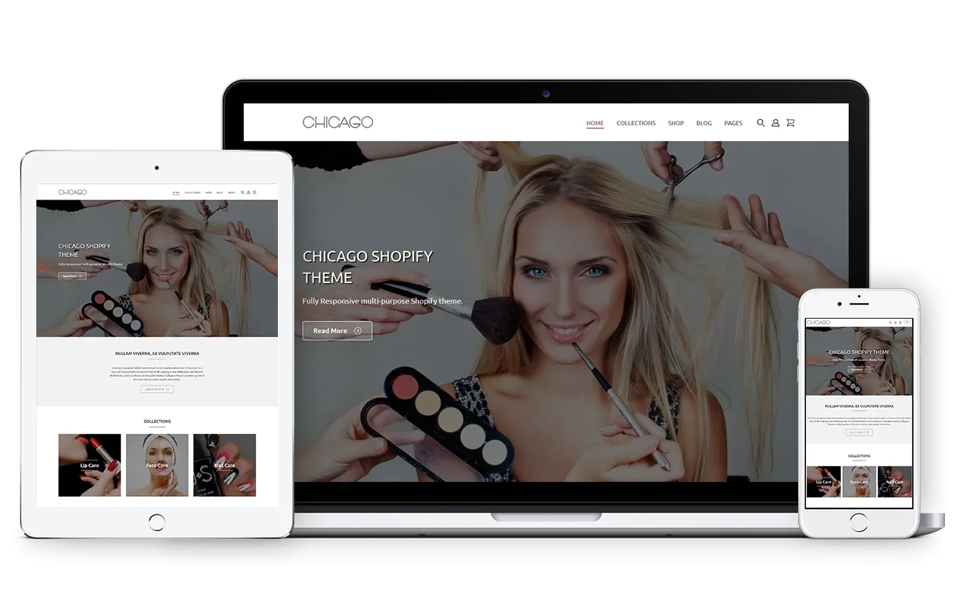 Health Store Chicago Shopify Theme